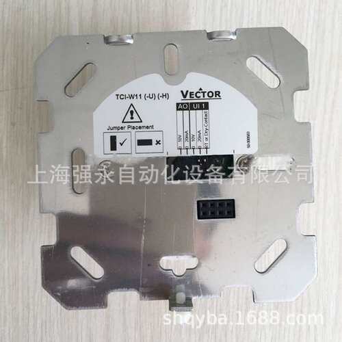 VECTOR/伟拓TCY-MT2-W20控制器通用型液晶显示0-10V模拟量控制器