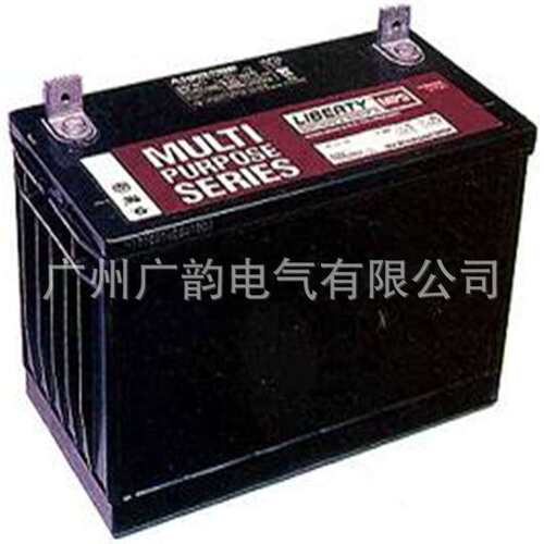 嘉兴大力神蓄电池MPS12-65 西恩迪蓄电池免维护12v65ah原厂