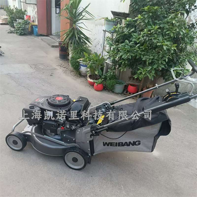 维邦WB538SCV-3IN1-MG马尼拉专用割草机自走钢底盘21寸割草草坪机