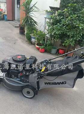 维邦WB538SCV-3IN1-MG马尼拉专用割草机自走钢底盘21寸割草草坪机