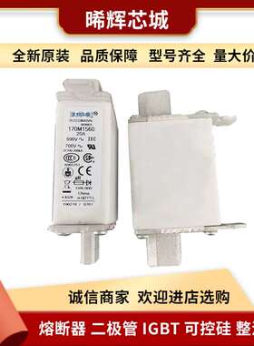直供170M2613 170M2614 圆柱形熔断器型号齐全电子元器件现货批次