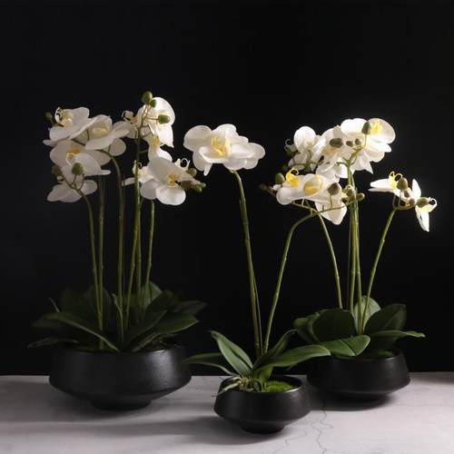 手感蝴蝶兰花仿真插花盆栽假花卉客厅茶几餐桌面玄关装饰摆件摆设