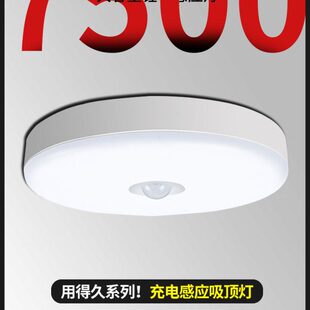 入户门转角楼梯吸顶灯感应灯充电间自动进门夜间门口感应灯家楼道