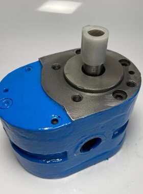 202525 15 X  X -3H5机床油泵502525YX18齿轮油泵 1001X8X0X1 12X