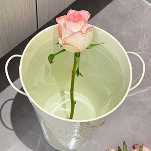 轻奢醒落地大花瓶创意网红高端高级插花花桶大气摆件客厅法式感