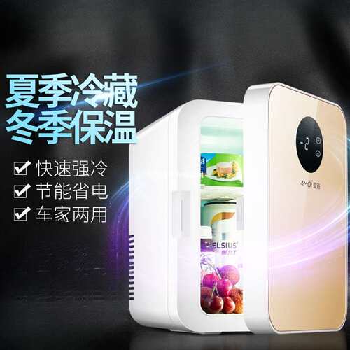 车载迷你小冰箱家用宿舍出租房母乳小型冷藏箱单人用