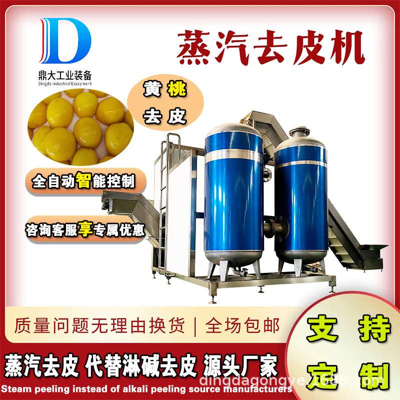 黄桃罐头生产加工流水线 桃子纯物理蒸汽去皮机不伤果肉 鼎大工业