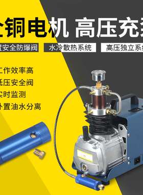 电动高压打气机30mpa 40mpa充气泵4500psi 220V/110V单缸水冷循环