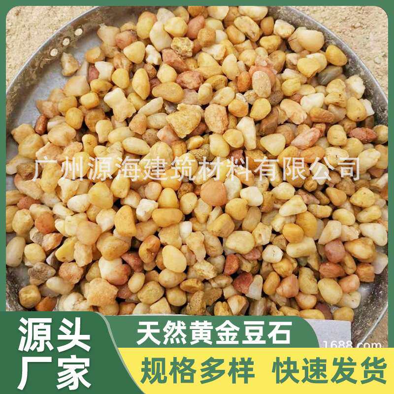 广州佛山黄金砂黄豆砂豆石天然黄金沙 水刷石 抿石子 洗石米