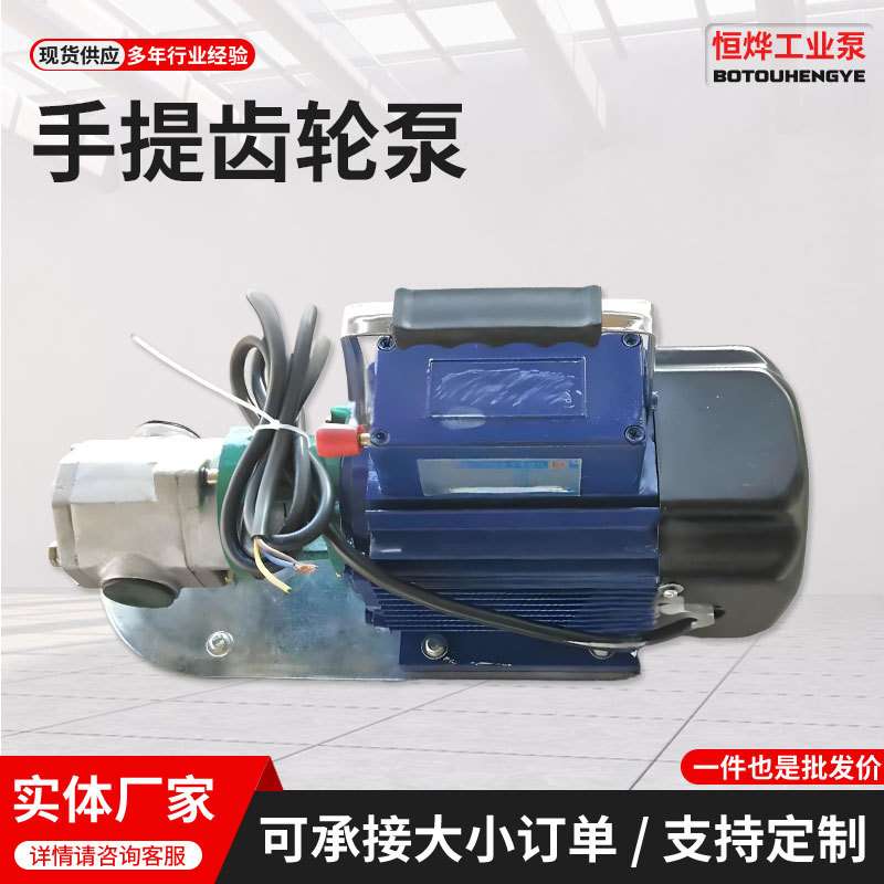 现货供应手提齿轮泵微型卸柴油液压机油24v220v高粘度电动抽油泵