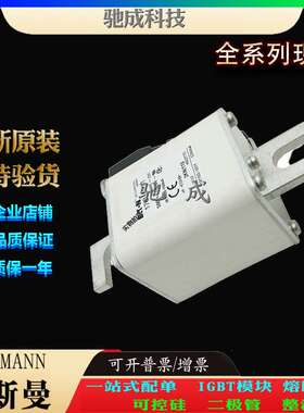 巴斯曼170M5971 170M5972 170M5973 现货直销 零售 低压保险丝