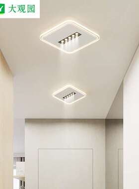 大观园过道灯走廊灯2026新款厨房卫生间玄关卧室阳台小吸顶灯440L