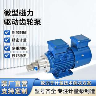 磁力齿轮计量泵耐酸碱耐腐蚀乙酸乙酯无泄漏不锈钢小型磁力泵泵头