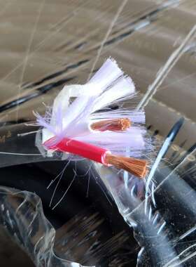 纯铜2X4平方音响工程线缆 音响护套线 高弹软料RVV护套线 广播线