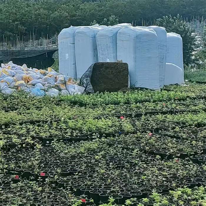 有机营养土种植土通用型养花种菜土绿萝多肉泥土花肥 进口泥炭土