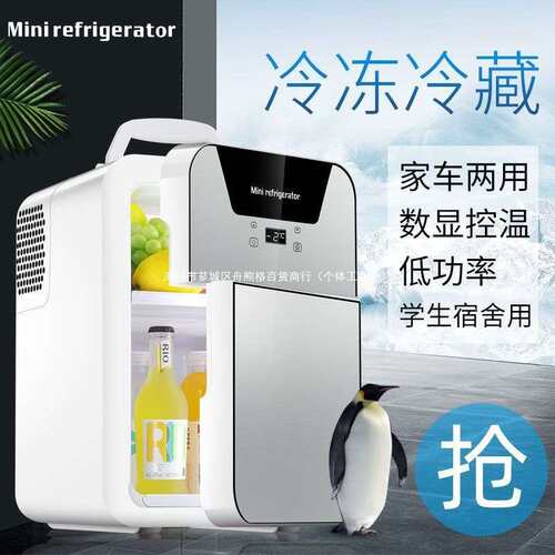 车载冰箱迷你小冰箱小型家用冷藏母乳储奶单人便携保鲜小冰柜
