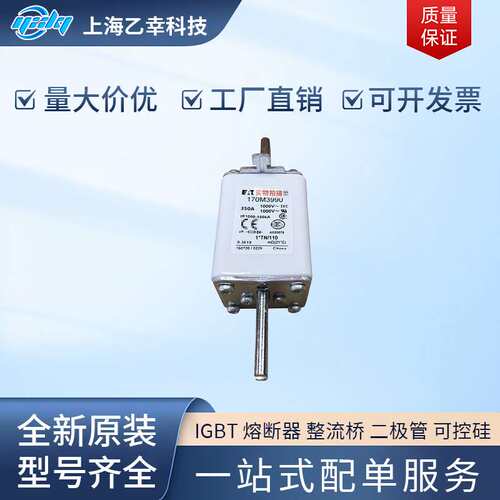 巴斯曼熔断器  170M3984 170M3985 170M3986 170M3987 170M3988