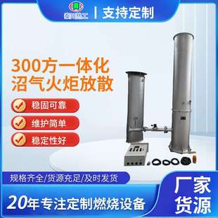 300方一体化沼气火炬燃烧器 火炬筒体可拆卸组装 内燃式暗火火炬