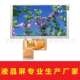 5寸lcd液晶显示屏群创TFT电阻电容触摸800 480RGB40pin高清工控屏
