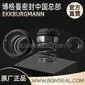 SIHI希赫真空泵LEMA90 AZ YTF OK 0/FLOWSERVE不锈钢机械密封