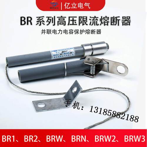 10KV电力电容保护用高压限流熔断器BR2-50P/20A 45A 80A 100A