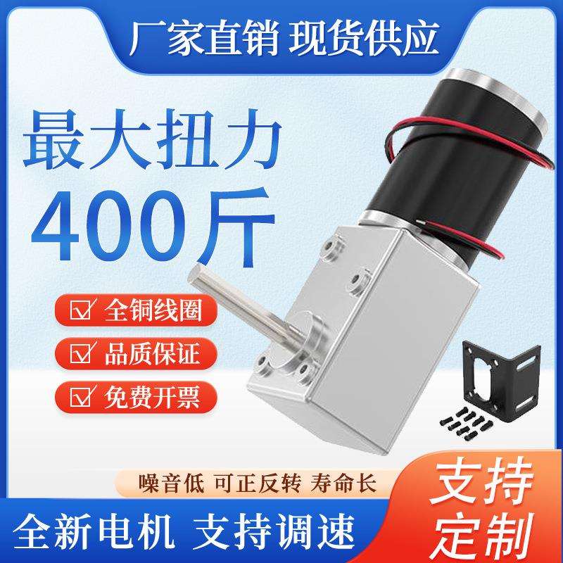 5882-50加长轴蜗轮蜗杆直流自锁减速电机大扭矩低速12V24V马达