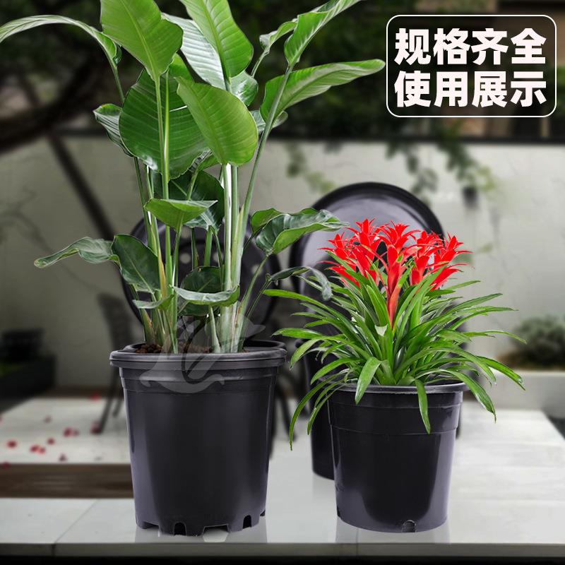 塑料花盆黑色桶基地种植多肉盆育苗盆加仑盆家用大AB型圆反边花盆
