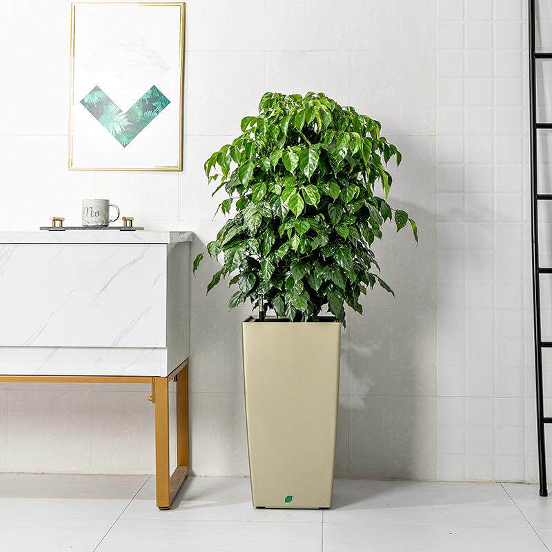 塑料花盆方形高筒落地三组合自吸水懒人花盆室内简约现代花盆花器