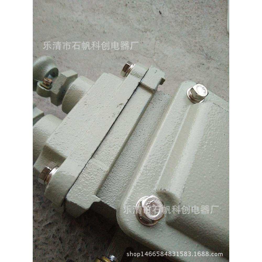 防爆行程开关BLX11 LX510-12 BLXK501-10 LX510-32重锤开关通用