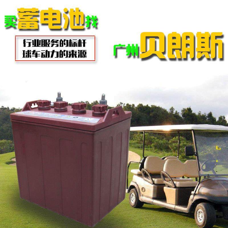 铅酸蓄电池 3-DG-230 6V230Ah 电动游览车电瓶厂家