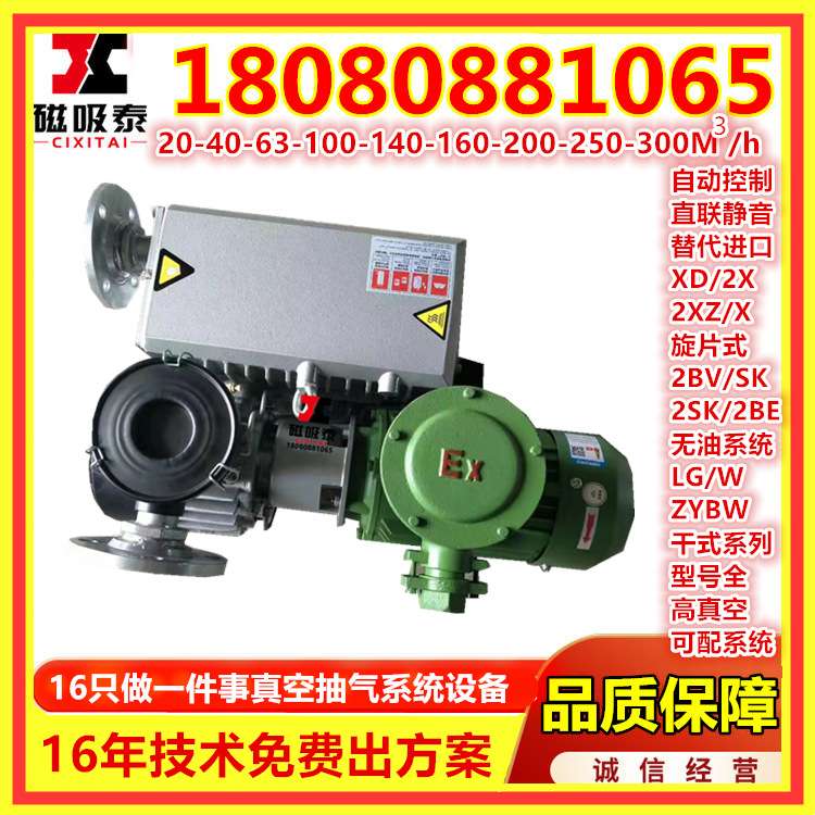 安阳气体抽真空装置 gis变压器真空抽气机组 抽真空泵设备XD100