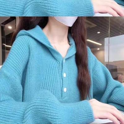 蓝色连帽针织衫毛衣女款2025新款春秋冬穿搭高级感慵懒风气质上衣