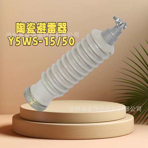 10KV高压避雷器HY5WS-17/50 /45-FT柜内线路型支柱瓷外套电容型