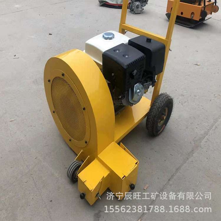 修路清扫清理吹风机 5.5马力马路吹风机 手推式路面吹风机