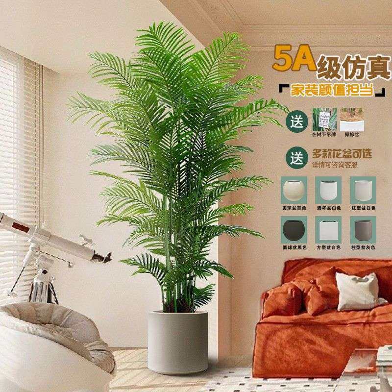 仿真植物仿真绿植散尾葵盆栽客厅落地摆件室内大型仿生装饰植物,鲜花速递/花卉仿真/绿植园艺,割草机/草坪机,淘宝优惠券,粉丝福利购,淘宝优惠卷