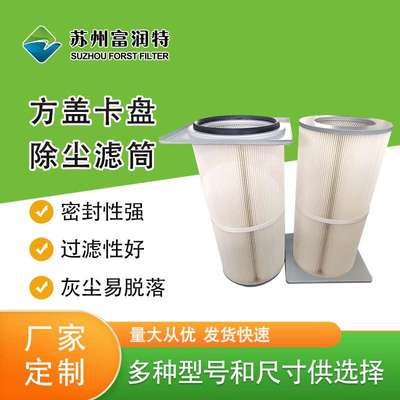 工业粉尘过滤阻燃防静电 法兰喷塑聚酯纤维滤筒 方形卡盘侧装式滤