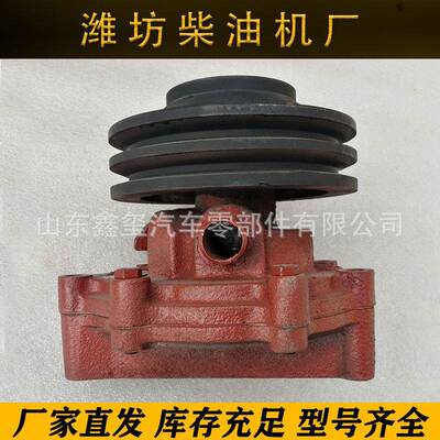 现货供应潍柴发动机080V06500-6700水泵