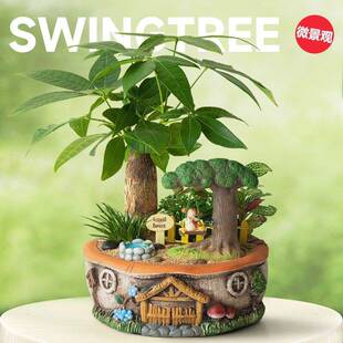 发财树盆景小绿植室内盆栽文竹植物创意可爱公室桌面微景观摆件