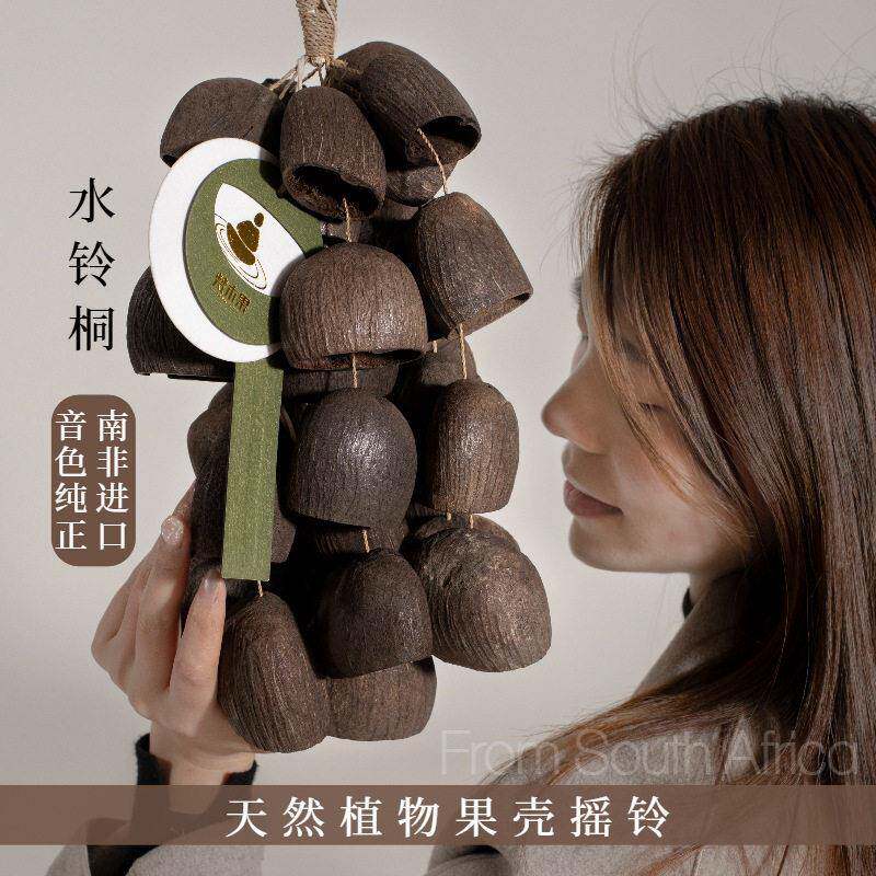 梵木果水铃桐手摇铃音乐会伴奏白噪音手铃天然植物果壳小众乐器