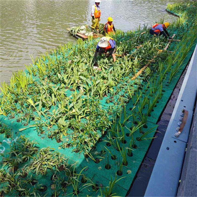 复合纤维湿地 生态浮岛 人工河床 河道水体净化 水生植物种植床
