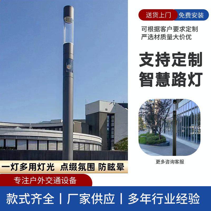 青岛厂家生产简捷多功能庭院广场公园LED智慧庭院景观路灯圆铝灯
