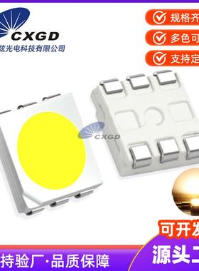 现货SMD5050白光灯珠 20-24LM优势的SMD贴片灯珠生产厂家