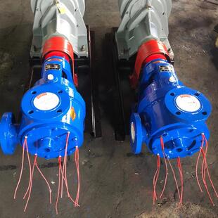 专业生产NYP-50高粘度转子泵,内齿合转子泵,NYP稠油转子泵