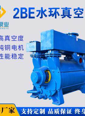 厂家直供2BEA202/203/252/253/303/353/2BEC40/42系列水环真空泵