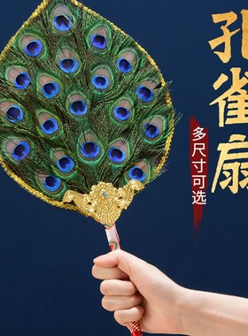 西藏蟋蟀壶孔雀羽毛扇7s/10眼文坝壶净水瓶羽毛装饰扇工艺饰品