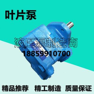 BV20伊顿威SV201-格9S士-11B1A8P叶片泵S-C/11R131P7-1P-/液压