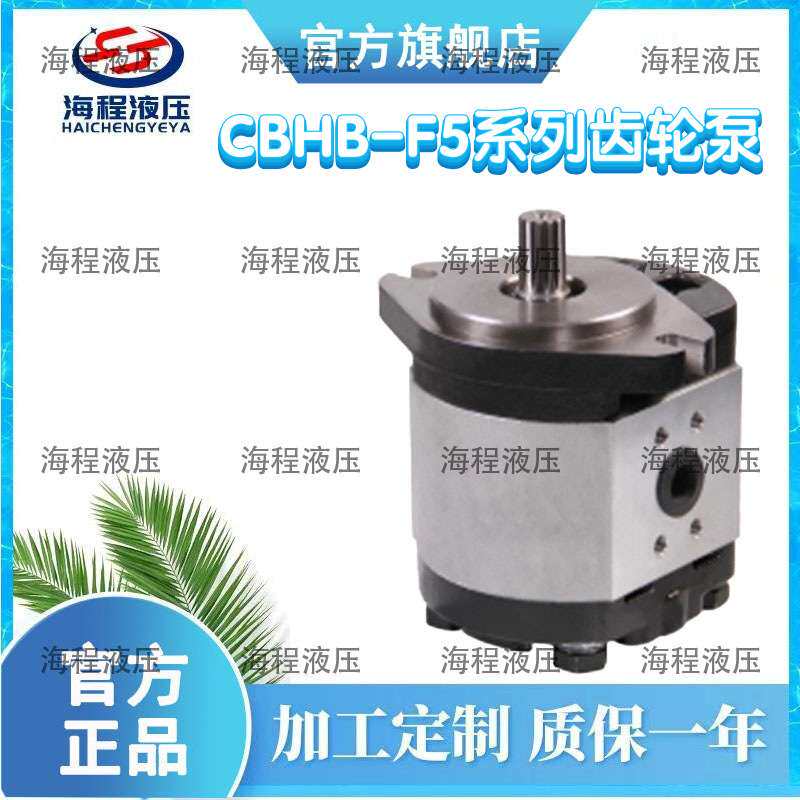 CBHB-F5系列齿轮油泵单联泵C齿轮泵
