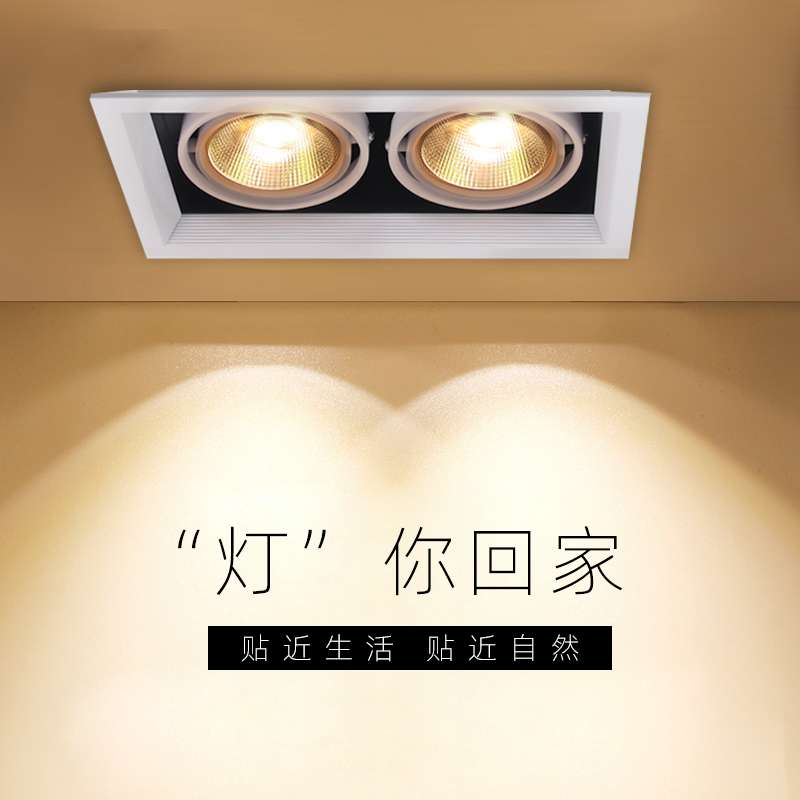 led斗胆灯长方形网格吊顶格栅灯嵌入式单头豆胆灯双头射灯cob聚光
