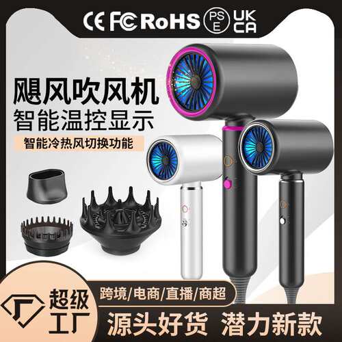 新款温控吹风机家用大风力发廊大功率2000W电吹风筒跨境亚马逊