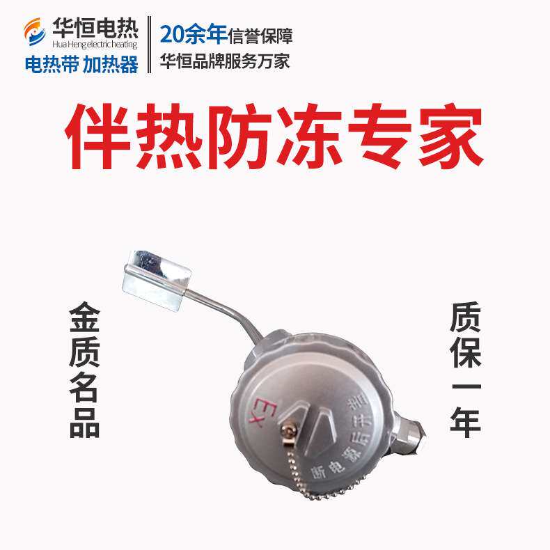生产厂直供防爆热电阻（PT100）伴热带测温探头电热带伴热电缆